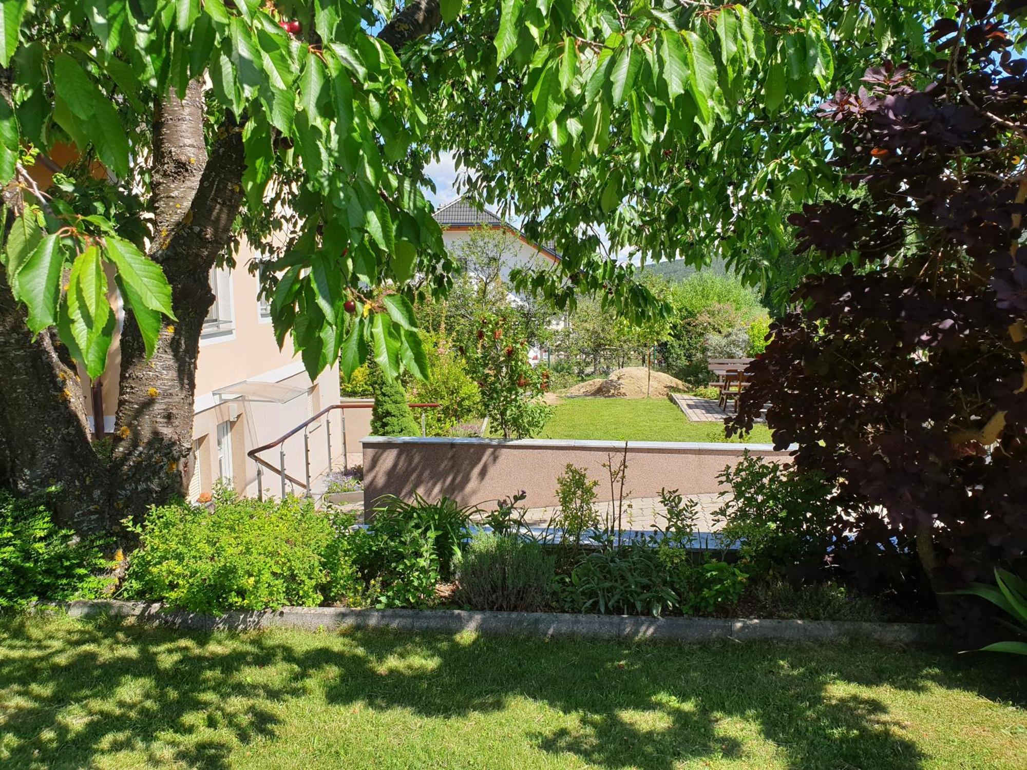 Robert Apartmán